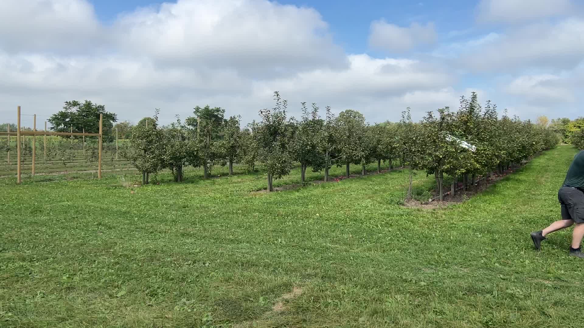 Apple season in Canada