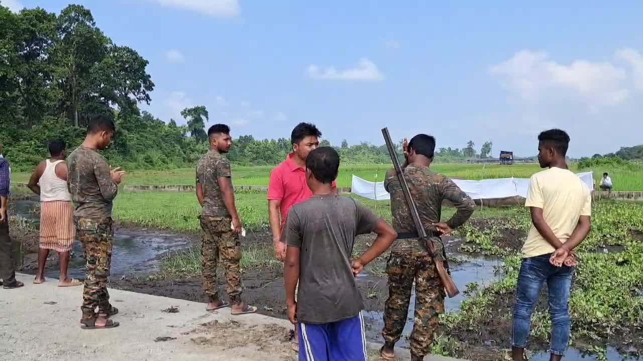 Wild Elephant Found Dead at Dudhia Village near Gajoldoba