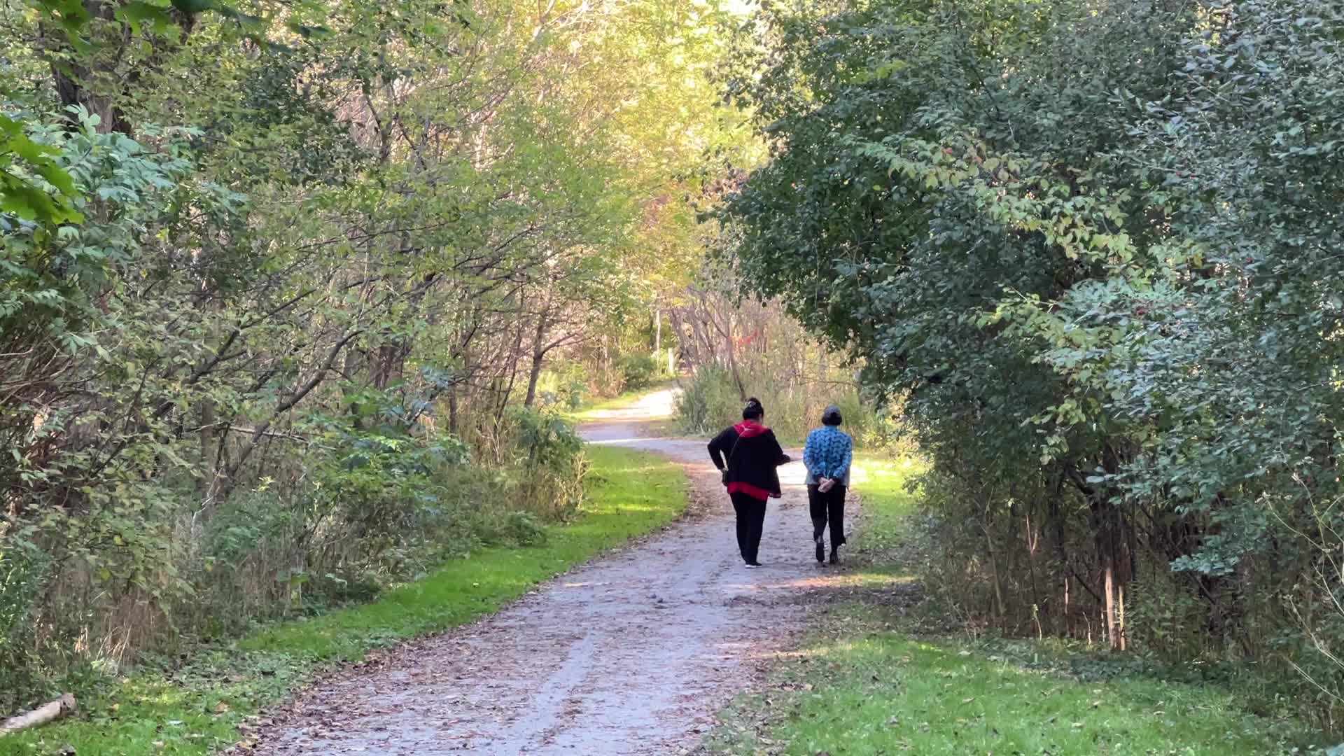 Unseasonably warm weather in Southern Ontario