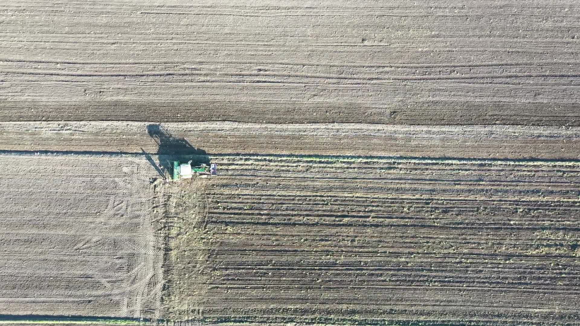 Autumn season in agriculture in Poland