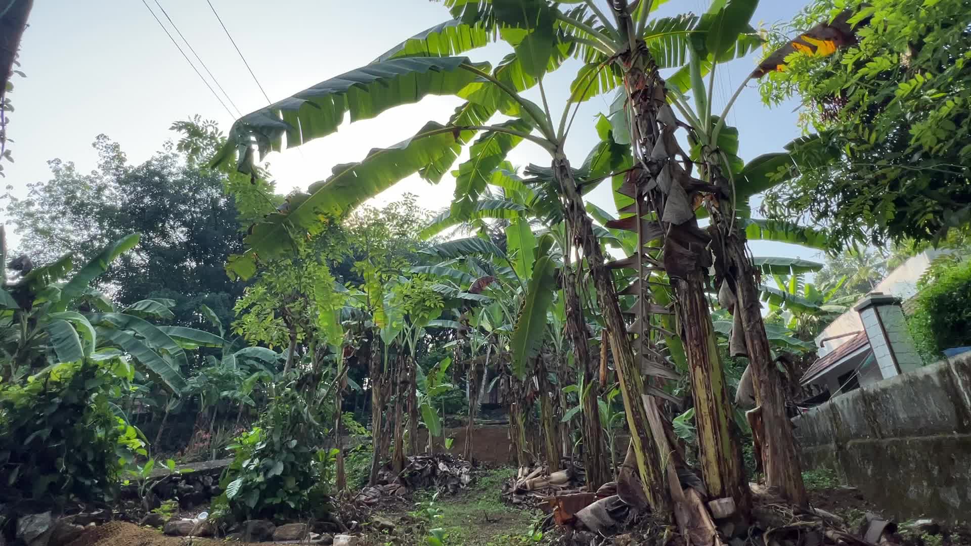 Daily life in Kerala