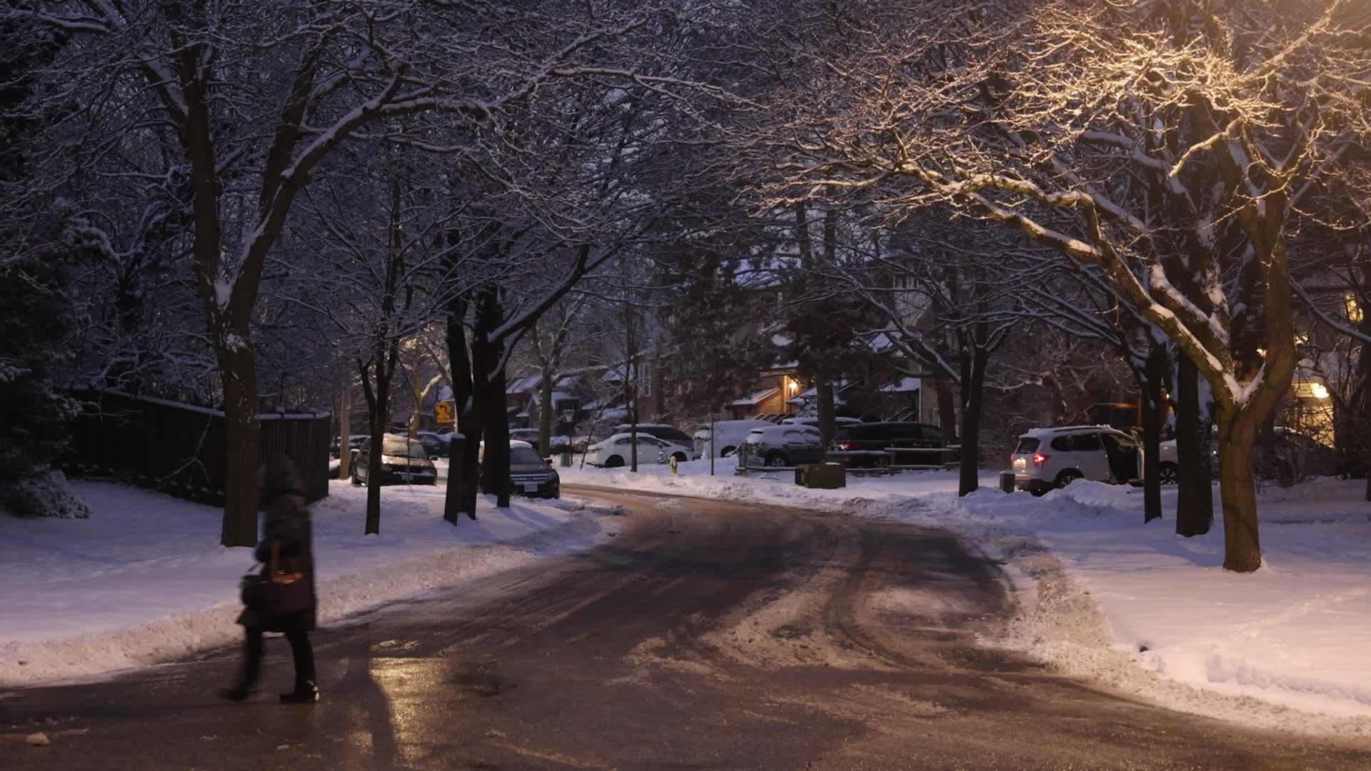 Toronto gets hit by winter snowstorm