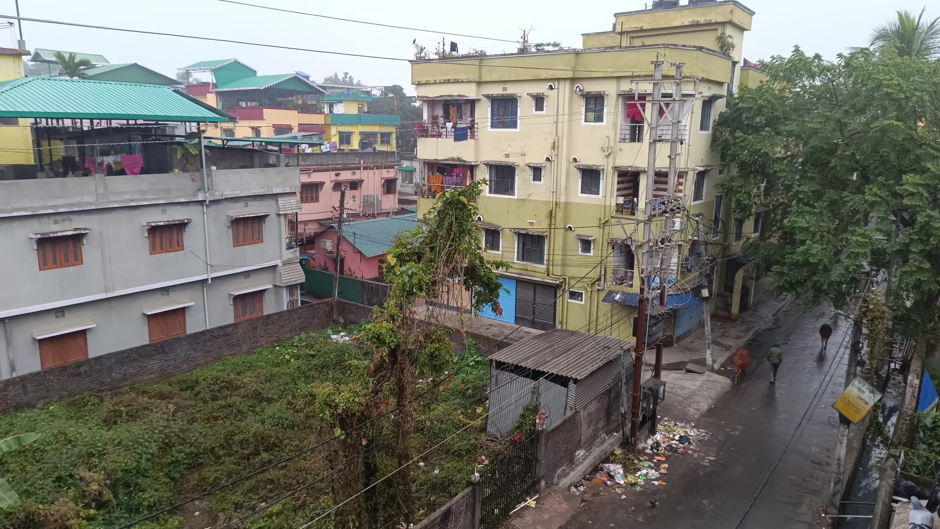 Rainy Day on a Winter and Cold in Siliguri