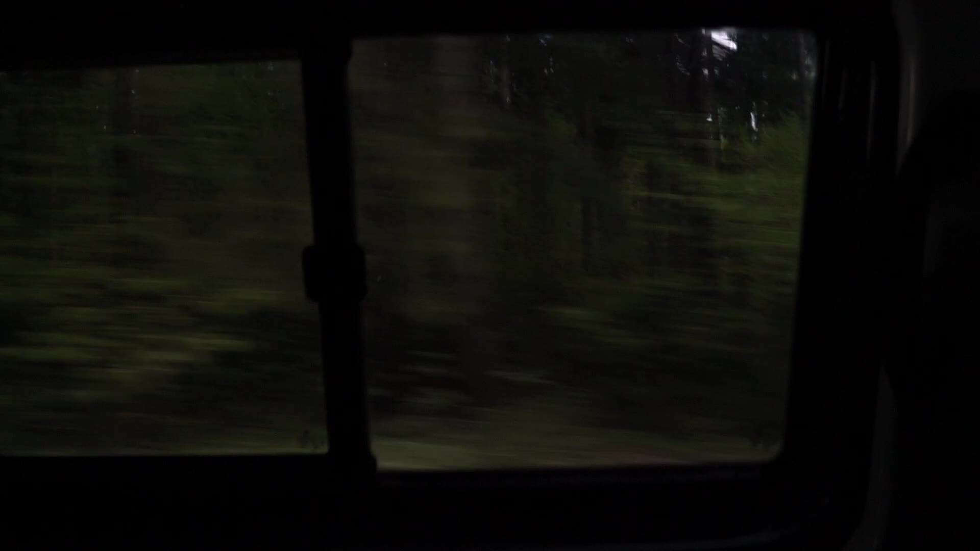 Police patrol along the Estonian-Russian border